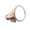 Law protected speech.png