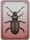 Trait beetle eared.png