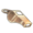 Law regulatory bodies.png