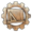 Law technocracy.png